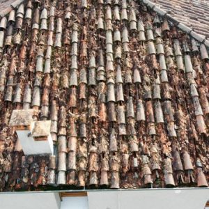 tecta coperture tetti manutenzione